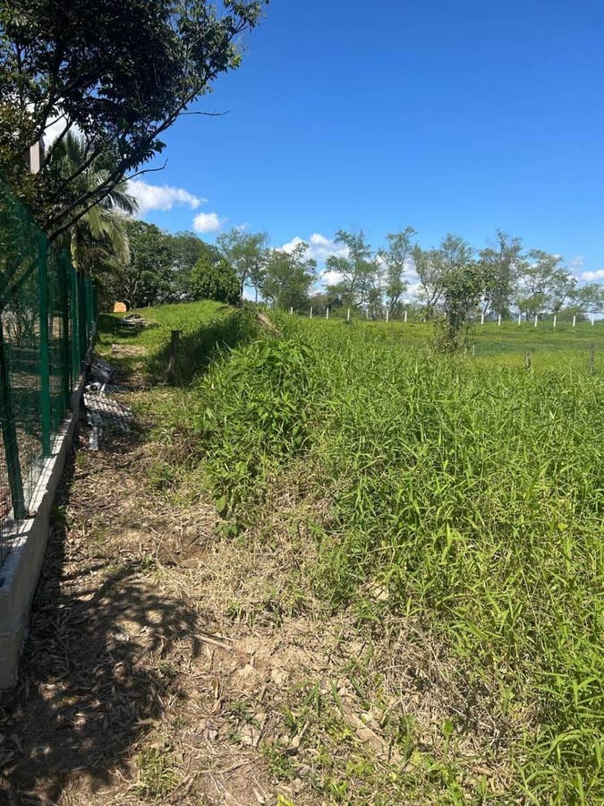 Lote/Terreno à Venda, Lagoa - Gaspar - Lote/Terreno em Lagoa, Gaspar - à venda - Tomio Imoveis Ltda
