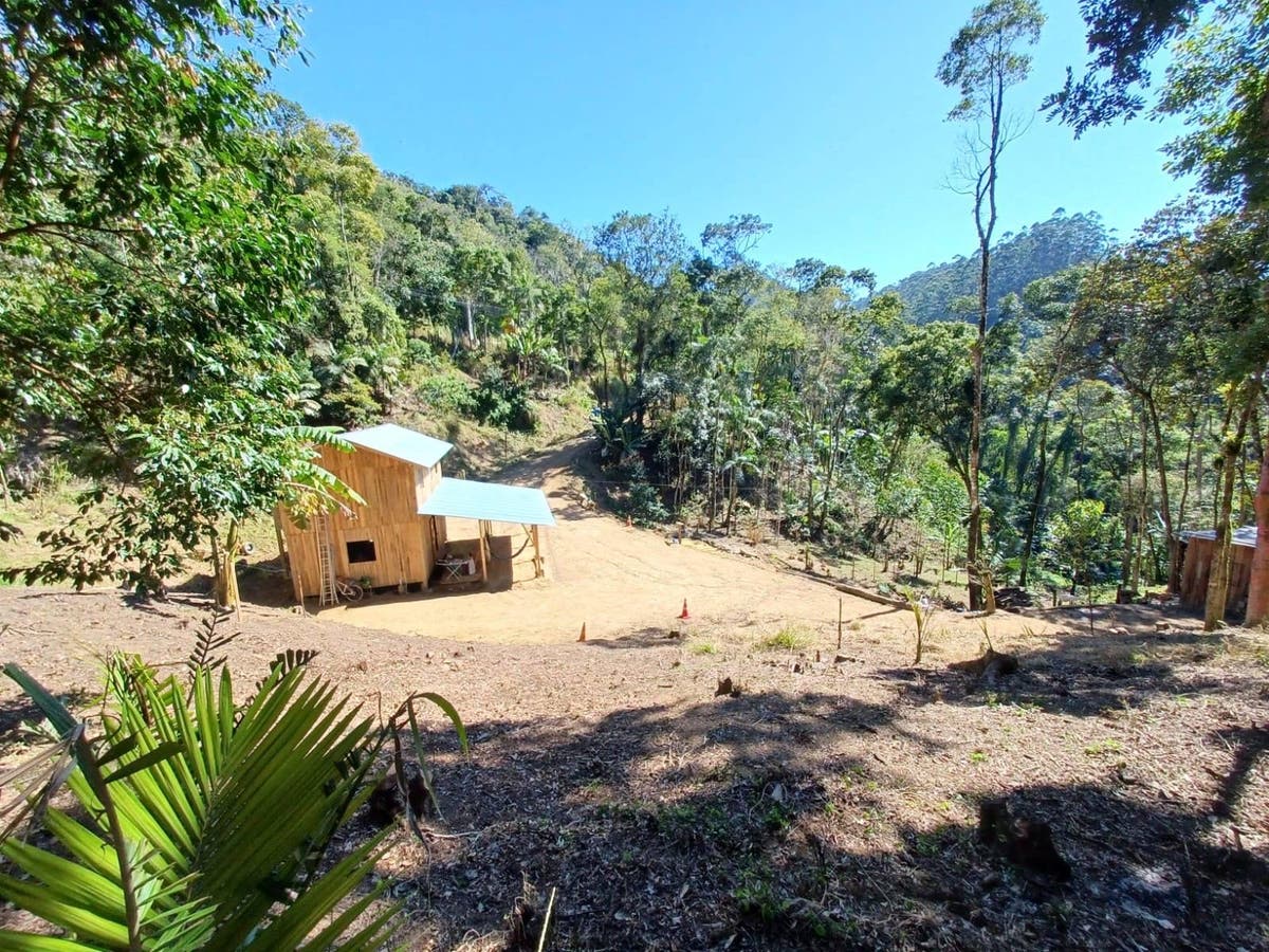 CHÁCARA EM CORUPÁ - Chácara em Caminho Pequeno, Corupá - à venda - Brisa Sul Imóveis