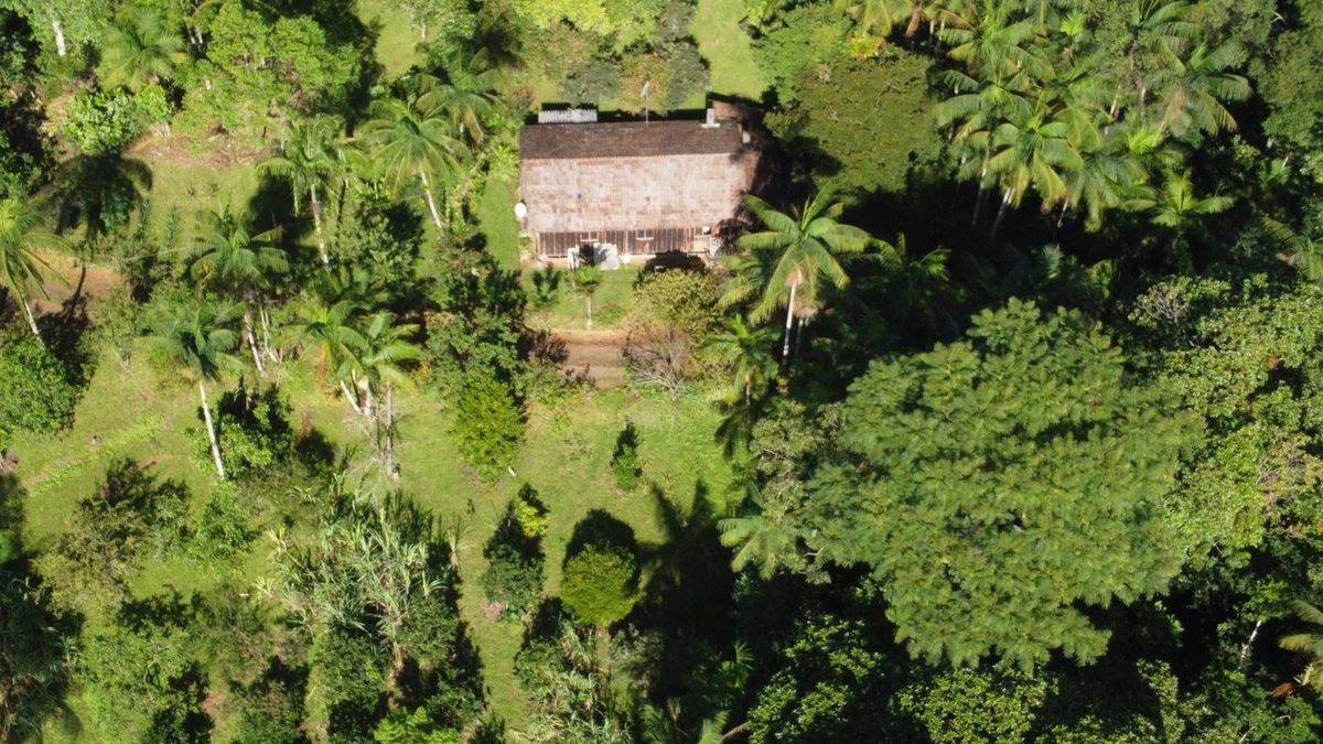Lote/Terreno à Venda, Alto Baú - Ilhota - Lote/Terreno em Alto Baú, Ilhota - à venda - Tomio Imoveis Ltda