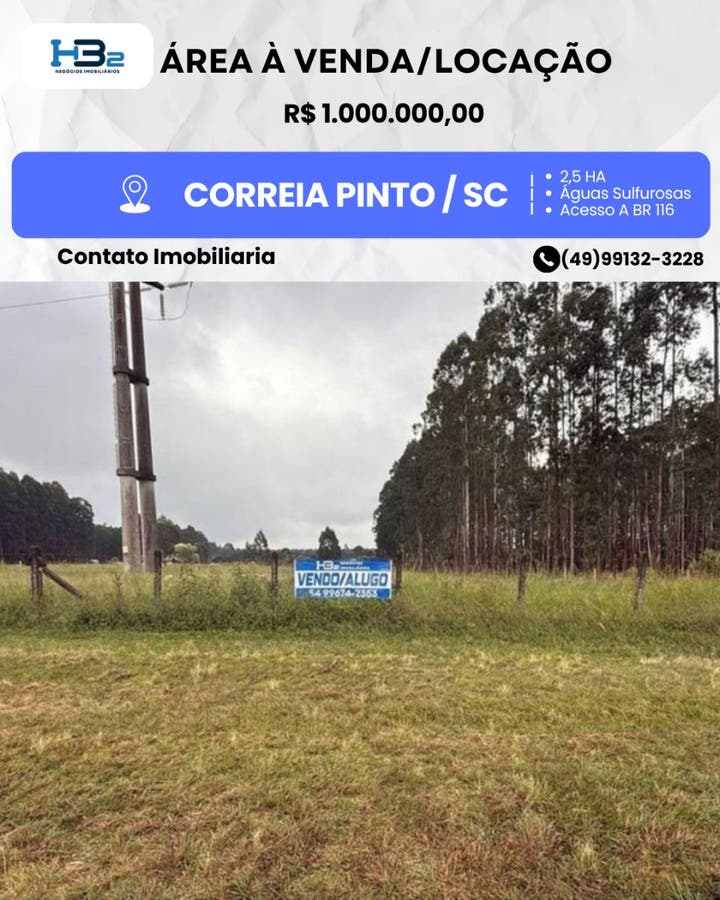 Area externa