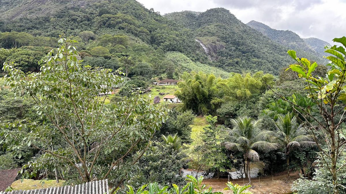 Sítio em meio a natureza, com casa, riacho e muito mais - Sítio em Aparecida, Alfredo Chaves - à venda - Majoris Imóveis Ltda