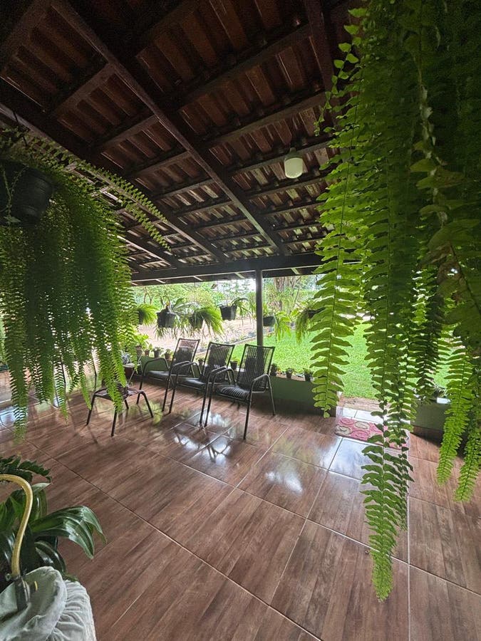 #444 VENDE-SE CHÁCARA – LUCAS DO RIO VERDE - Chácara em Cidade Nova, Lucas do Rio Verde - à venda - AGRO+IMÓVEIS NEGÓCIOS IMOBILIÁRIOS LTDA
