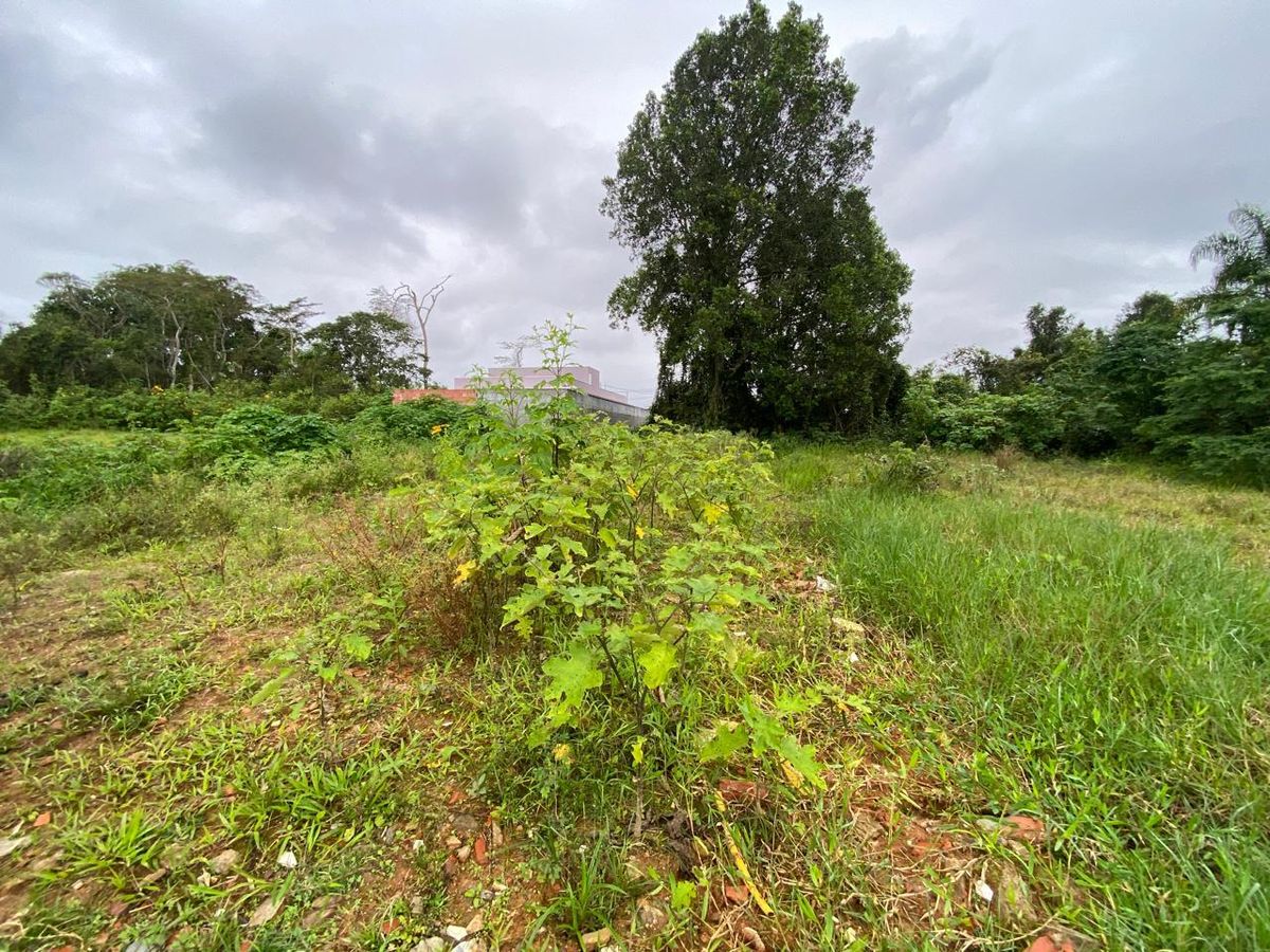 area_externa