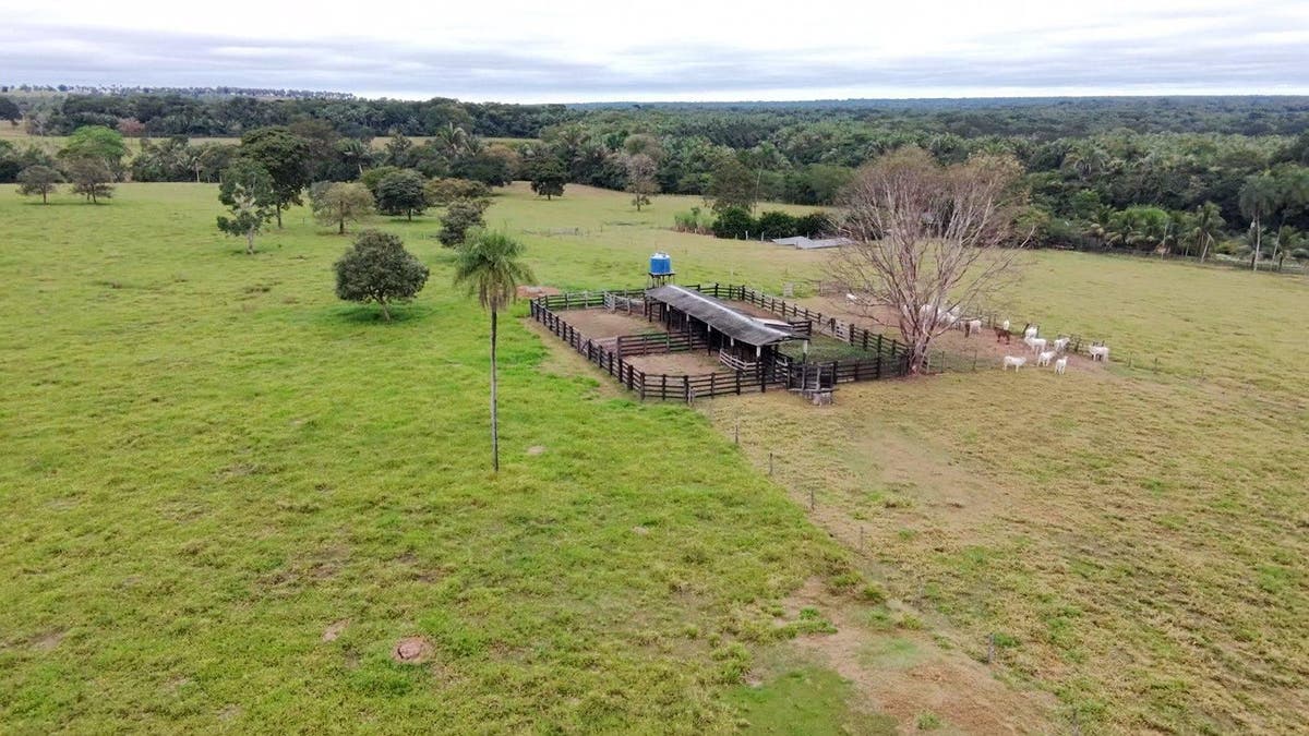 FAZ SONHO AZUL À VENDA, C/ 144 Alqueires - As Margens do Rio Sepotuba - Fazenda em Zona rural, Lambari D'Oeste - à venda - HC NEGÓCIOS IMOBILIÁRIOS