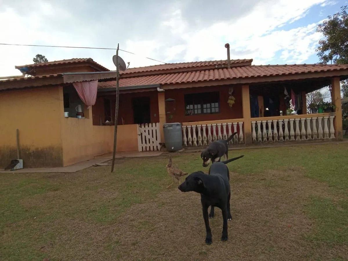 Chácara com 3 dormitórios à venda, 22800 m² por R$ 800.000,00 - Botujuru (Botujuru) - Campo Limpo Paulista/SP - Chácara em Botujuru (Botujuru), Campo Limpo Paulista - à venda - Catedral Brokers Negócios Imobiliários