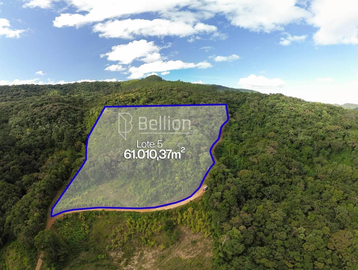 Mais de 6 hectares para quem pensa no próximo passo, terreno em Ribeirão Coração, Benedito Novo. - Terreno - à venda - Bellion Negocios Imobiliarios LTDA