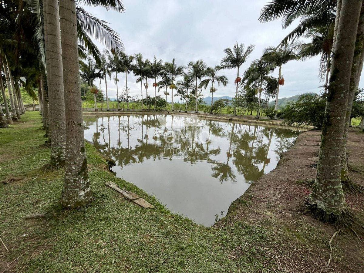 Sítio com 3 quartos à Venda, Boa Vista - Ilhota - Sítio em Boa Vista, Ilhota - à venda - Tomio Imoveis Ltda