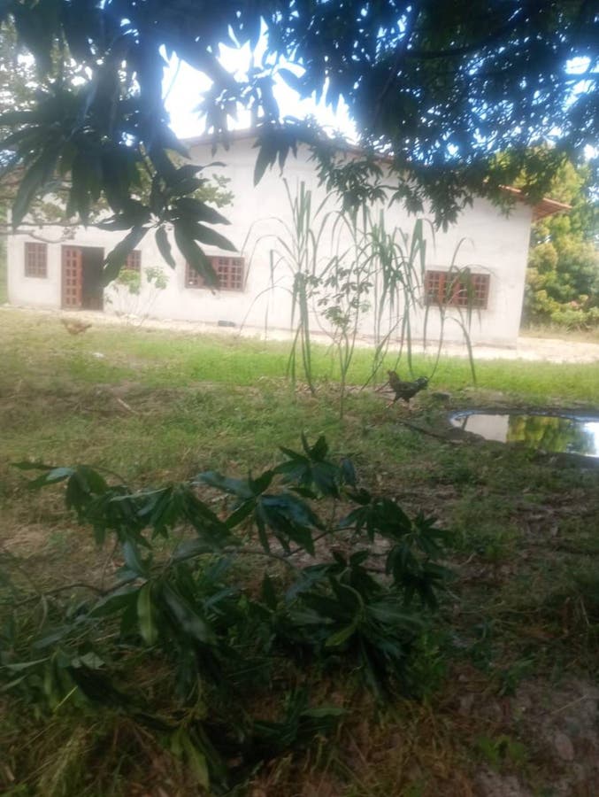 Chácara Patacas - 19.459,35 m² - R$ 1.300.000,00 - Chácara em Patacas, Aquiraz - à venda - LEVEL IMOVEIS E SERVICOS LTDA