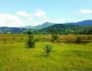 🌳, Lote/Terreno, Venda , 320.000,00 , Cervo, Pouso Alegre - Mg, 2401 ~ Te0286 - Lote/Terreno em Cervo, Pouso Alegre - à venda - IMOBILIÁRIA VLT IMÓVEIS LTDA