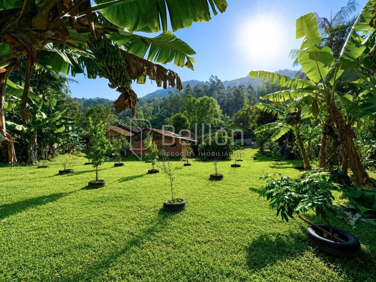 Sítio, 3 quartos, 2 hectares - Foto 8