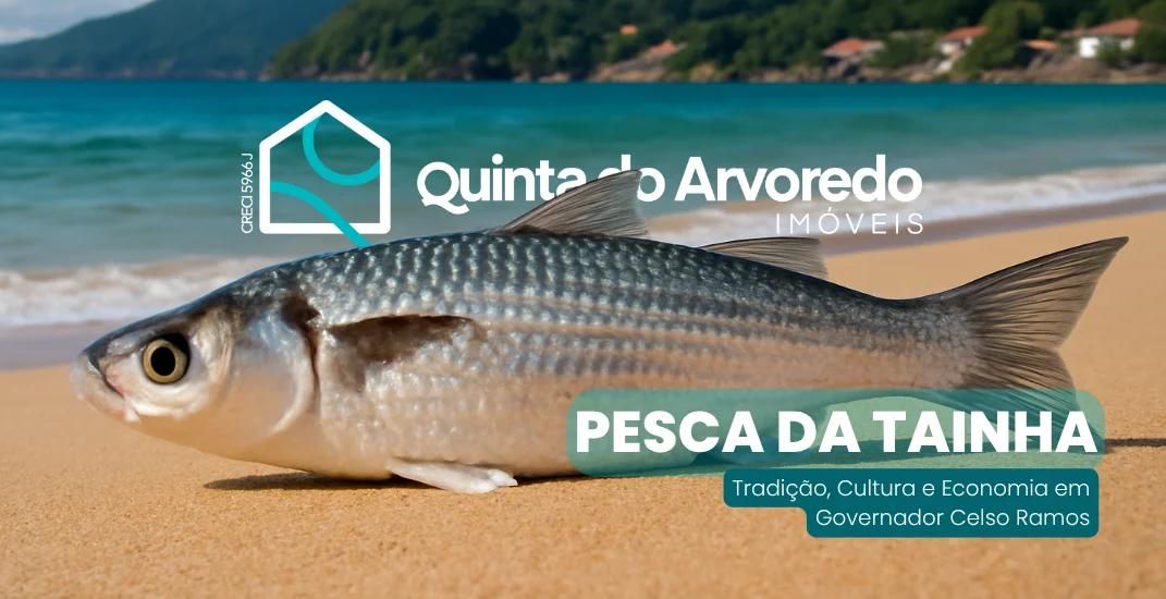 A Pesca da Tainha: Tradição, Cultura e Economia em Governador Celso Ramos
