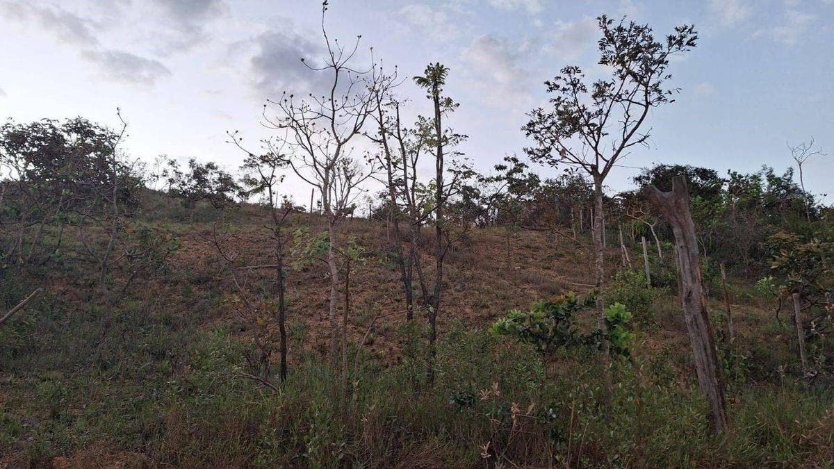 Terreno à venda, 1000 m² por R$ 65.000,00 - São José de Almeida - Jaboticatubas/MG - Terreno em Jaboticatubas - à venda - AMOR IMOVEIS