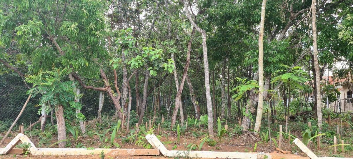 Lote condomínio Mansões Morumbi - Lote/Terreno - à venda - MELHOR IMÓVEL SOLUÇÕES IMOBILIÁRIAS LTDA