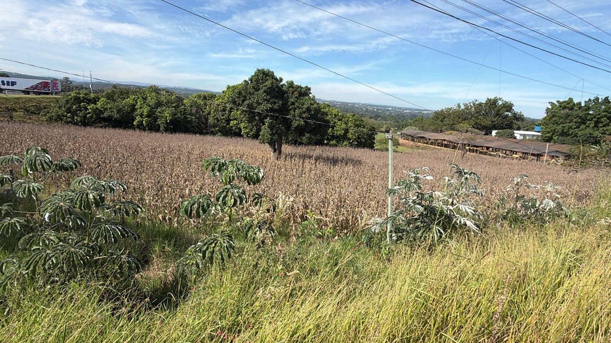 Área Industrial para locação, com fácil acesso à rodovia - Indaiatuba/SP - Comercial - para locação - Nobrecce Imóveis