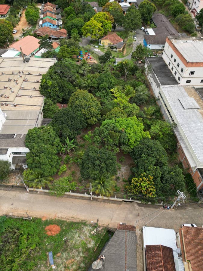 Chácara, Carlos Germano Naumann - Colatina - Chácara em Carlos Germano Naumann, Colatina - à venda - Dadalto Imobiliária LTDA