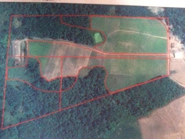 Lindo Terreno Rural para vender no Rio do Norte - Ituporanga - SC - Terreno em Ituporanga - à venda - SCHEFFER & NASCIMENTO NEGOCIOS IMOBILIARIOS LTDA
