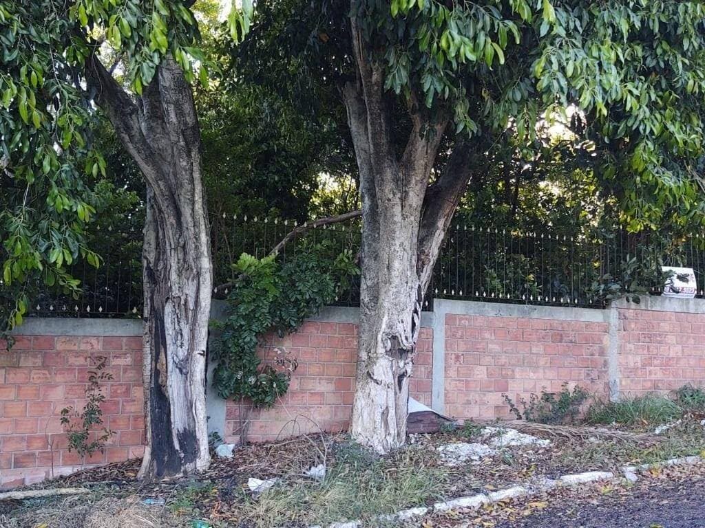 Terreno à venda, 613 m² por R$ 350.000,00 - Bom Princípio - Gravataí/RS - Lote/Terreno em Bom Princípio, Gravataí - à venda - Dimobi Cia imobiliaria