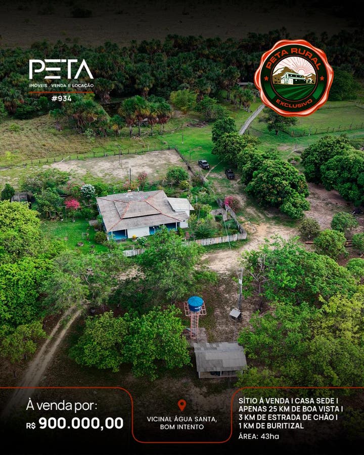 Sítio com 43 Hectares, à Venda, Vicinal Água Santa - Bom Intento - Sítio em Área Rural de Boa Vista, Boa Vista - à venda - PETA SERVICOS IMOBILIARIOS LTDA