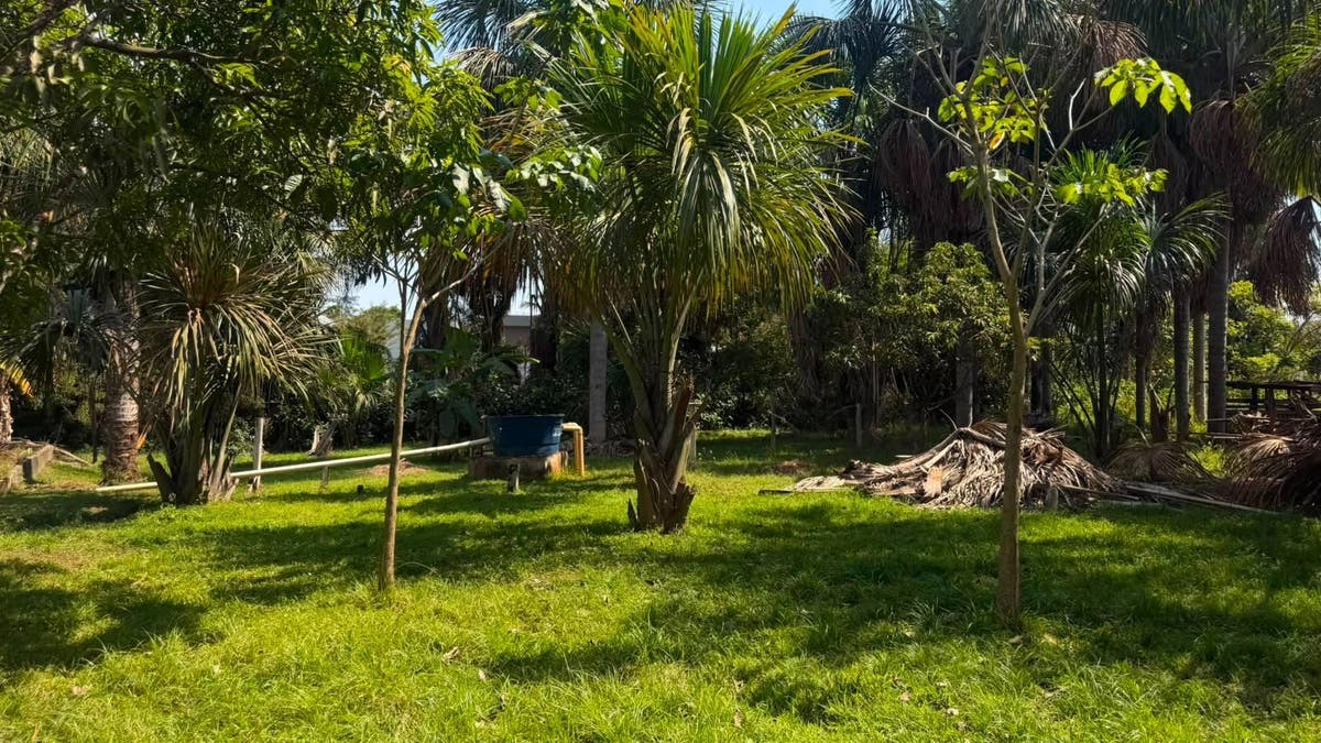 🌿 Chácara disponível a 3km da cidade - Chácara em Sorriso - à venda - Carrapicho Imóveis