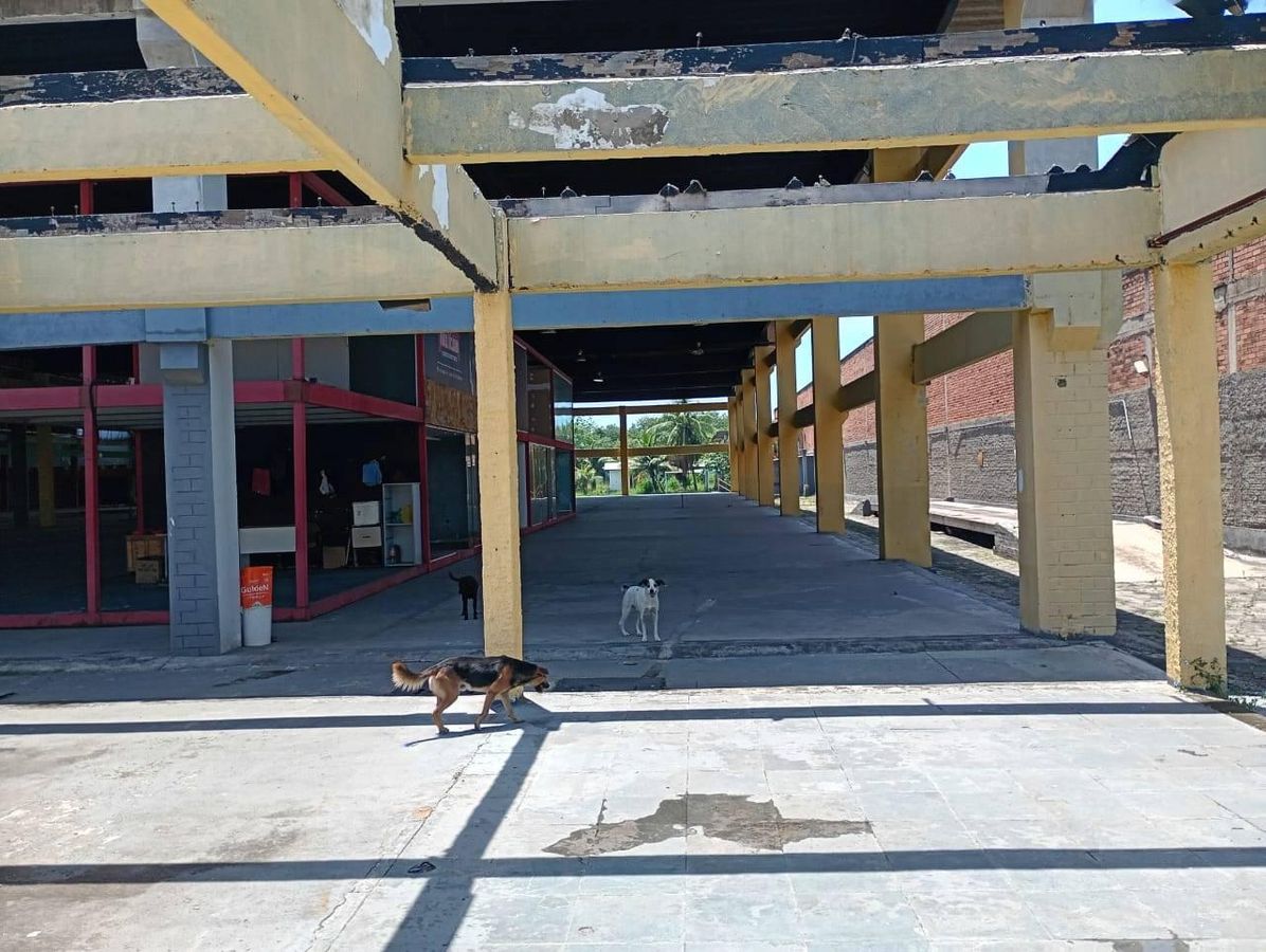 Galpão em Duque de Caxias para locação com 10.000 m² de área - Galpão em Jardim Gramacho, Duque de Caxias - para locação e à venda - PERENNIAL ASSESSORIA E SERVIÇOS LTDA EPP