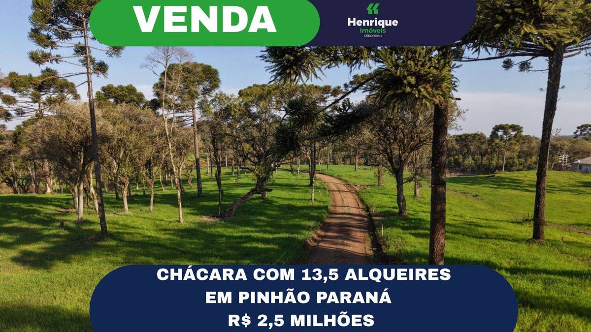 Chácara - Pinhão - Chácara em Pinhão - à venda - Henrique soluções e produtos imobiliários