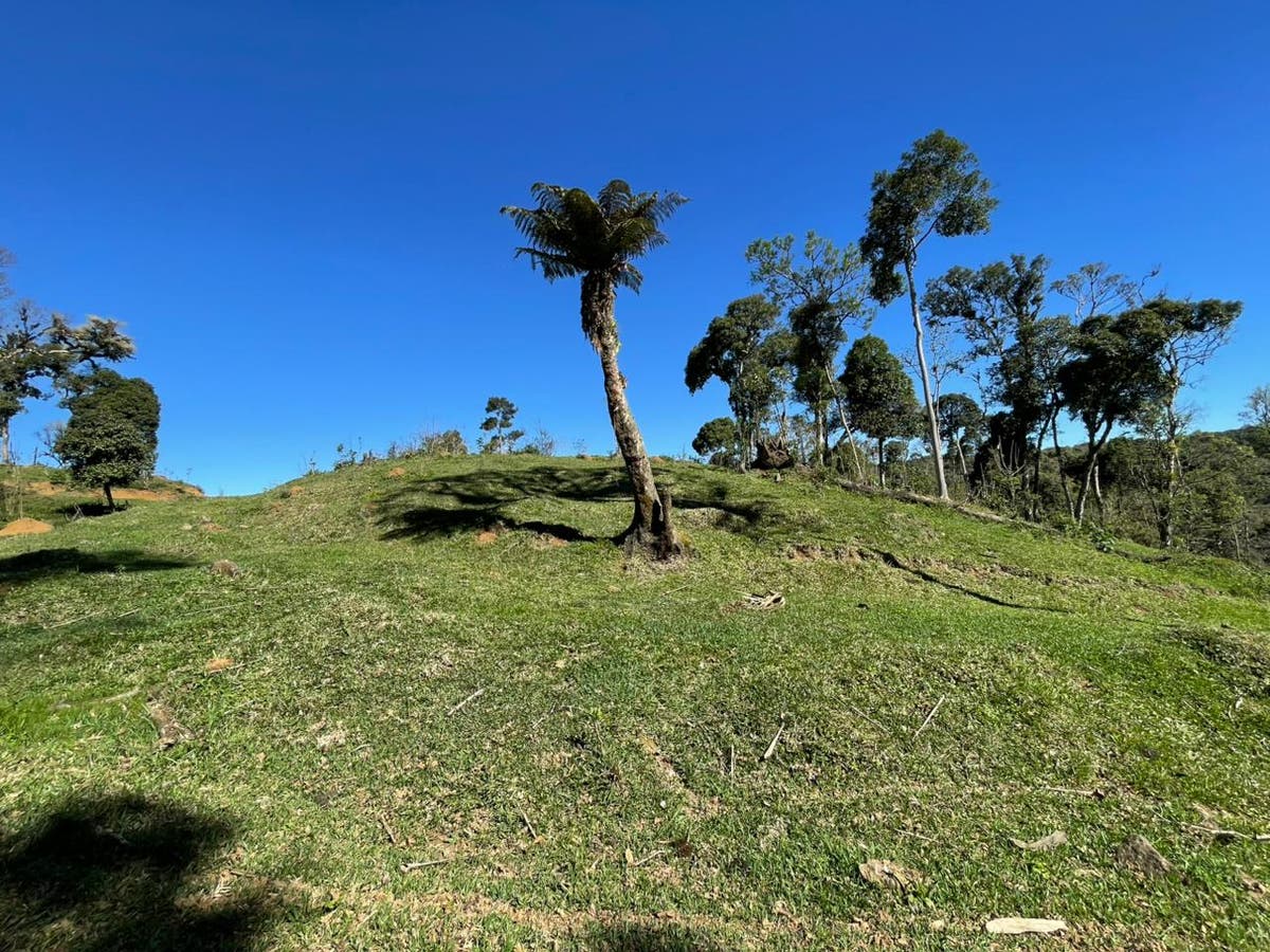 Condomínio de Chácaras no Rio Mandioca - Sítio - à venda - CONSTRUTORA O.R. LTDA