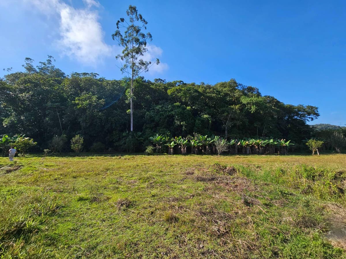 Terreno Rural REF 6718 - Terreno em Três Rios do Norte, Jaraguá do Sul - à venda - HAUS IMÓVEIS LTDA