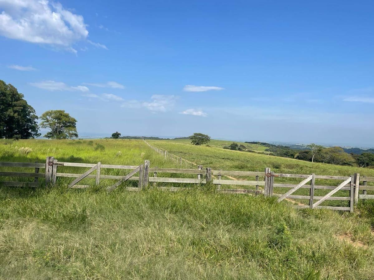 Rural › Fazenda - Fazenda em Marília - à venda - FLEX CONSULTORIA IMOBILIÁRIA LTDA