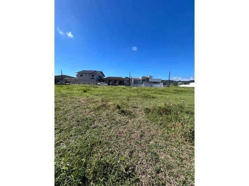 Lote/Terreno à Venda, Coloninha - Gaspar - Lote/Terreno em Coloninha, Gaspar - à venda - Tomio Imoveis Ltda