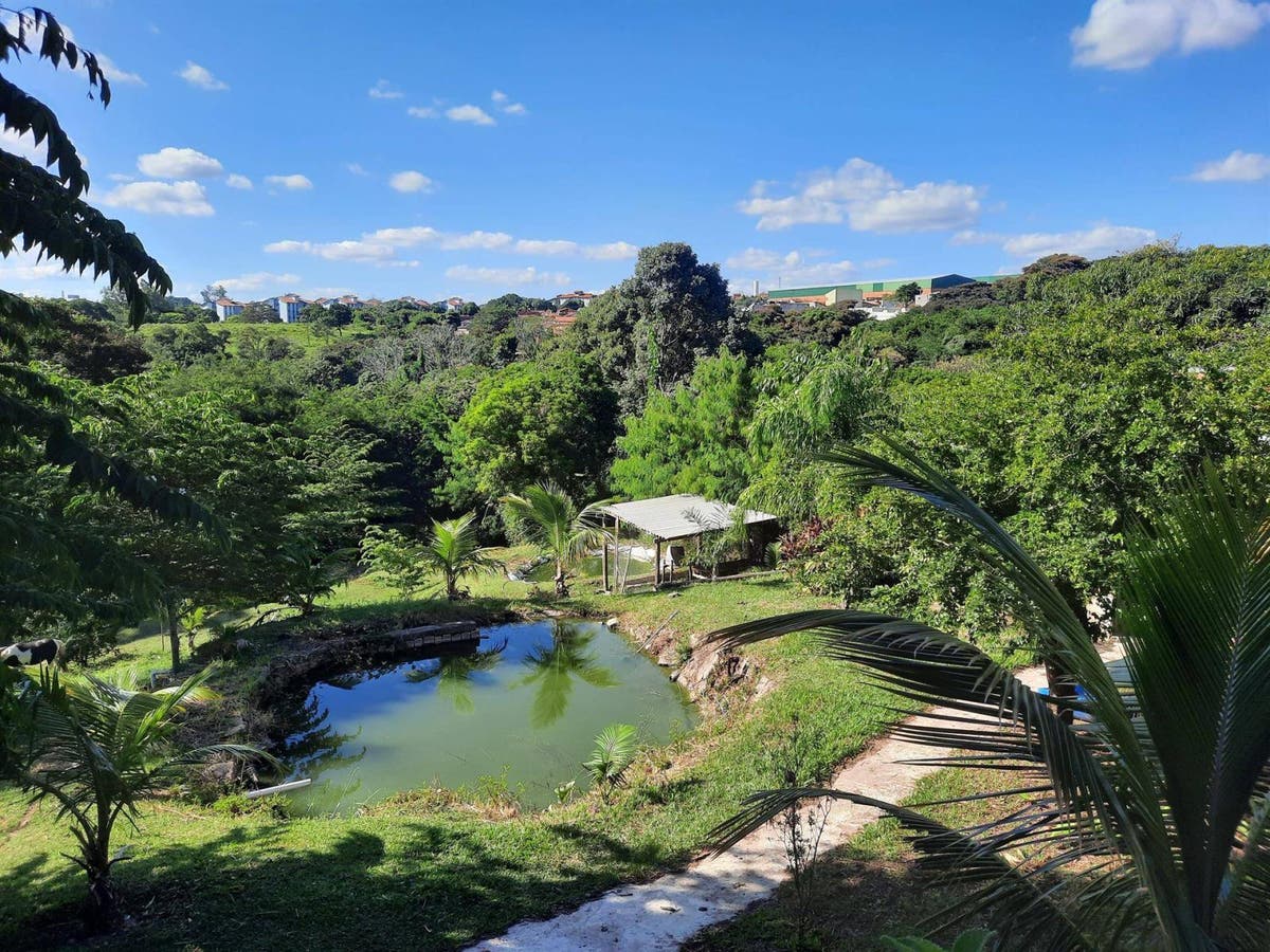 Jardim Virgínia - Residencial › Chácara - Chácara em Jardim Virgínia, Marília - à venda - FLEX CONSULTORIA IMOBILIÁRIA LTDA