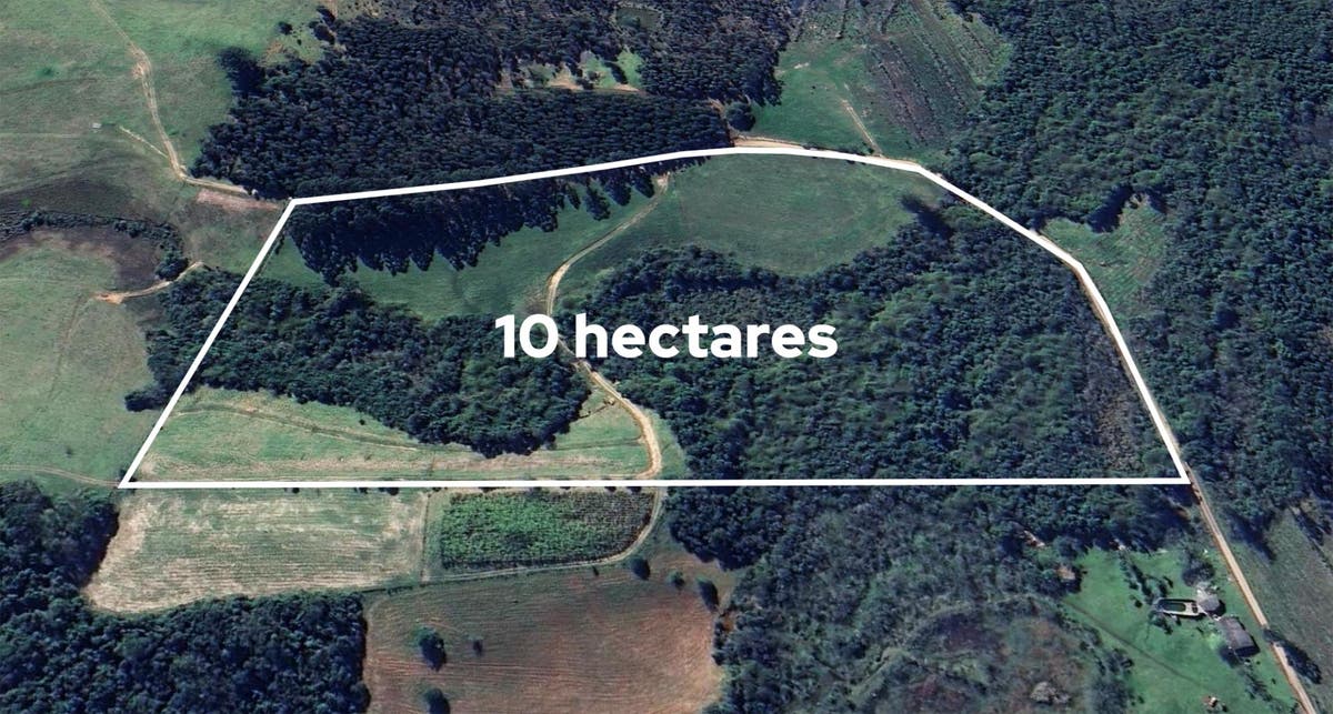 Área de Terras com 10Hectares à Venda, Socorro - Portão - Área de terras em Socorro, Portão - à venda - UNICA NEGOCIOS IMOBILIARIOS LTDA