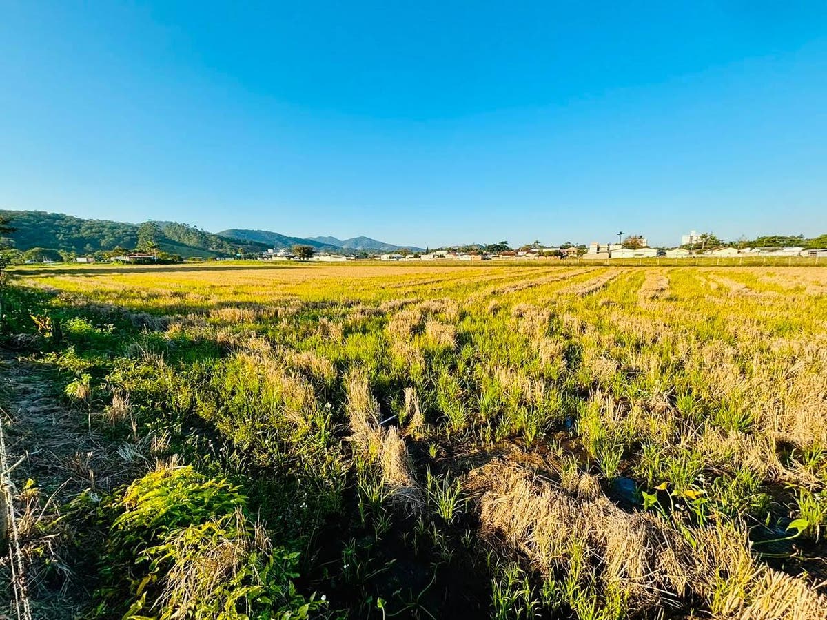Lote/Terreno à Venda, Margem Esquerda - Gaspar - Lote/Terreno em Margem Esquerda, Gaspar - à venda - Tomio Imoveis Ltda