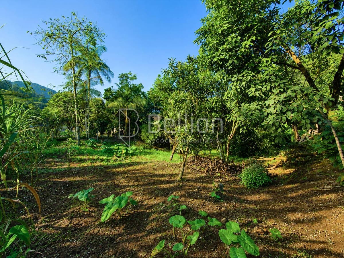 Sítio, 3 quartos, 2 hectares - Foto 13