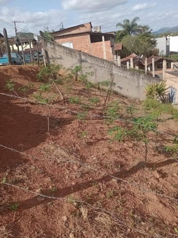 🌳, Lote/Terreno, Venda , 115.500,00 , Faisqueira, Pouso Alegre - Mg, 2308 ~ Te0269 - Lote/Terreno em Faisqueira, Pouso Alegre - à venda - IMOBILIÁRIA VLT IMÓVEIS LTDA