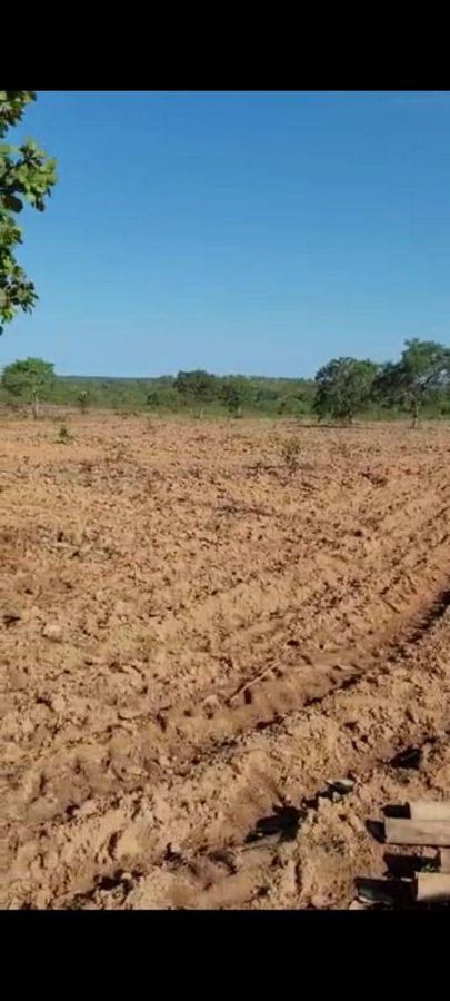 Fazenda com 1 Quarto à Venda, Setor Central - Cristalândia - Fazenda em Setor Central, Cristalândia - à venda - Zilmara Santos LTDA