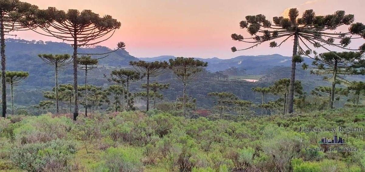 Terreno rural Morro Agudo - Terreno em São Joaquim - à venda - Figueiredo e Reginato Gestão Imobiliaria e Comercio LTDA