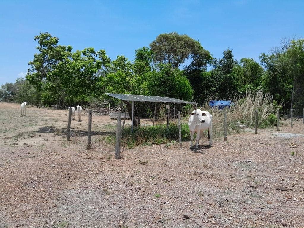 Fazenda com 3 dormitórios à venda, 2081200 m² por R$ 4.500.000,00 - Zona Rural - São Valério da Natividade/TO - Fazenda em São Valério da Natividade - à venda - IMOBILIARIA REI EMPREENDIMENTOS S/S LTDA