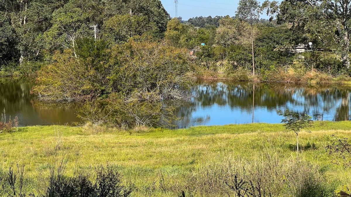 Chácara à venda com 2 hectares, Fazenda das Palmas em Portão/RS - Chácara/sítio em Socorro, Portão - à venda - UNICA NEGOCIOS IMOBILIARIOS LTDA