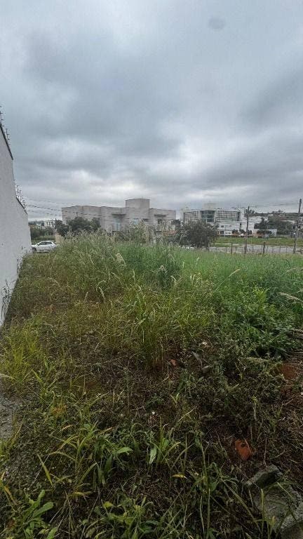 🌳, Lote/Terreno, Venda , 290.000,00 , Santa Rita I, Pouso Alegre - Mg, 2412 ~ Te0291 - Lote/Terreno em Santa Rita I, Pouso Alegre - à venda - IMOBILIÁRIA VLT IMÓVEIS LTDA