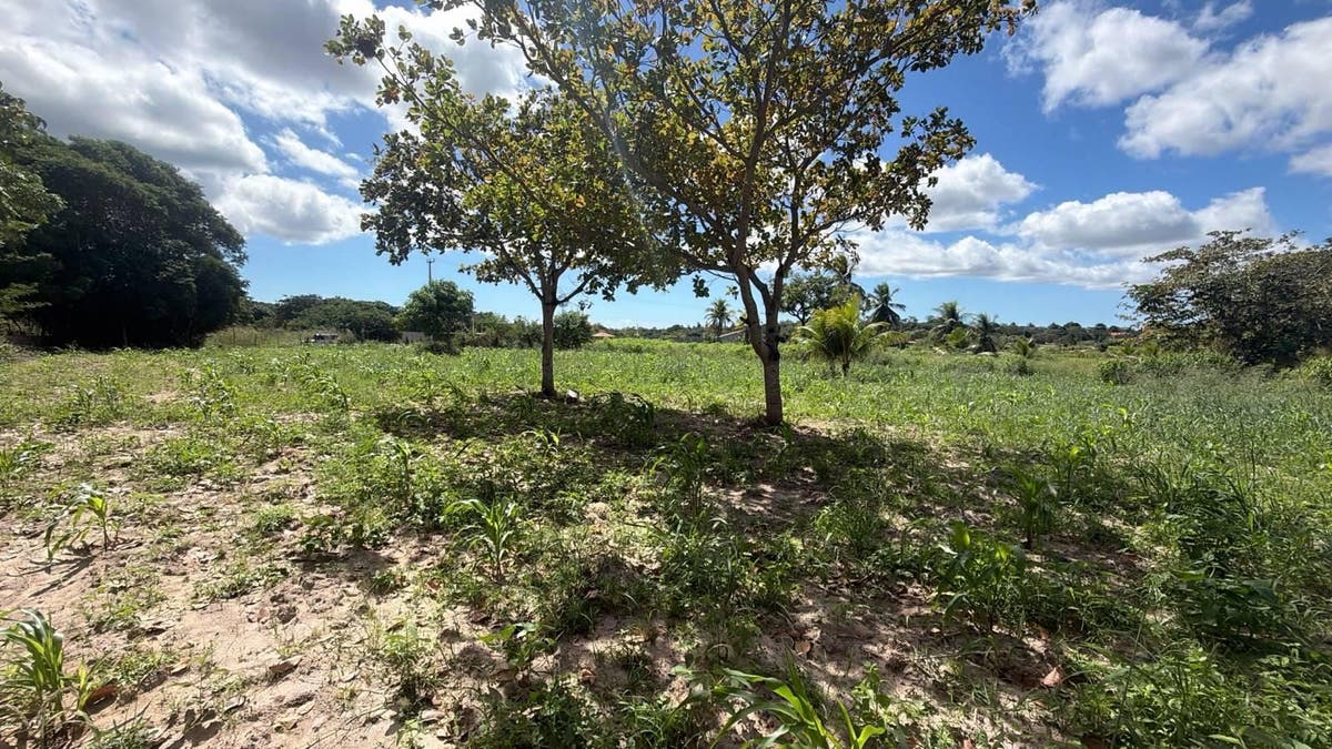 Terreno Loteamento Alvorada à venda - 5.040 m² - R$ 600.000,00 - Lote/Terreno em Aquiraz - à venda - LEVEL IMOVEIS E SERVICOS LTDA