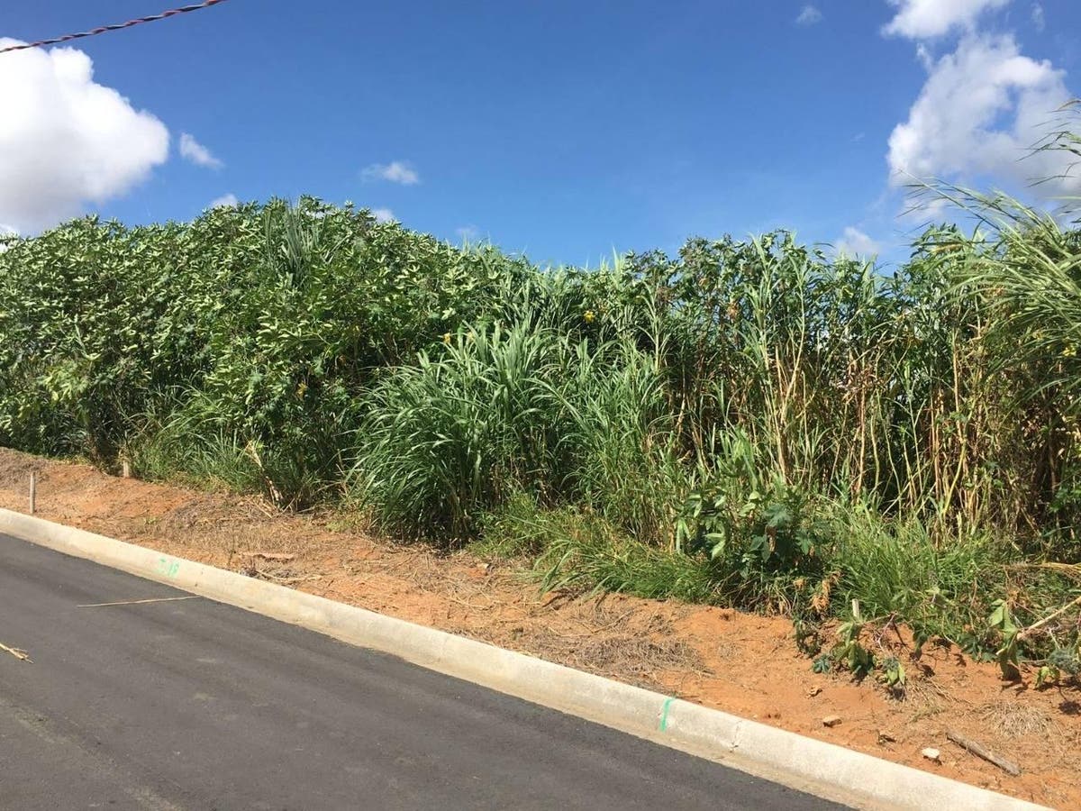 TE0094 - Lote/Terreno em Limoeiro, Guaxupé - à venda - Grupo G3 Investhouse Ltda