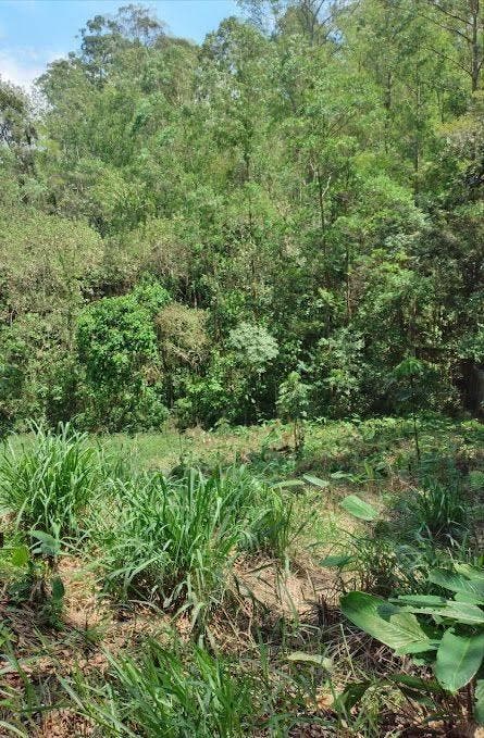 Terreno à venda, 1174 m² por R$ 280.000,00 - Serra dos Lagos - Cajamar/SP - Lote/Terreno em Serra dos Lagos (Jordanésia), Cajamar - à venda - Team ÊXITO Imob