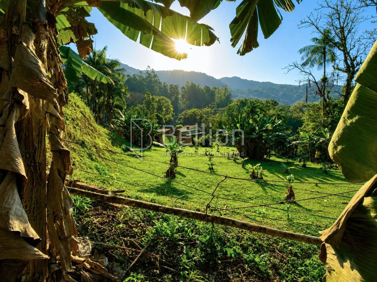 Sítio, 3 quartos, 2 hectares - Foto 12