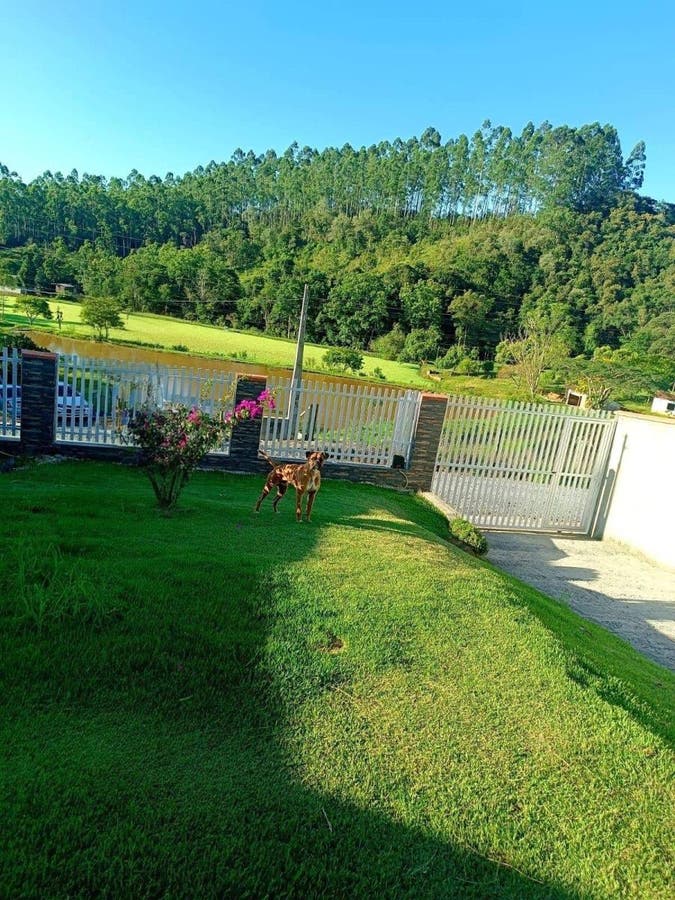 Casa à venda na cidade de Agrolândia-SC - Casa em Agrolândia - à venda - SCHEFFER & NASCIMENTO NEGOCIOS IMOBILIARIOS LTDA