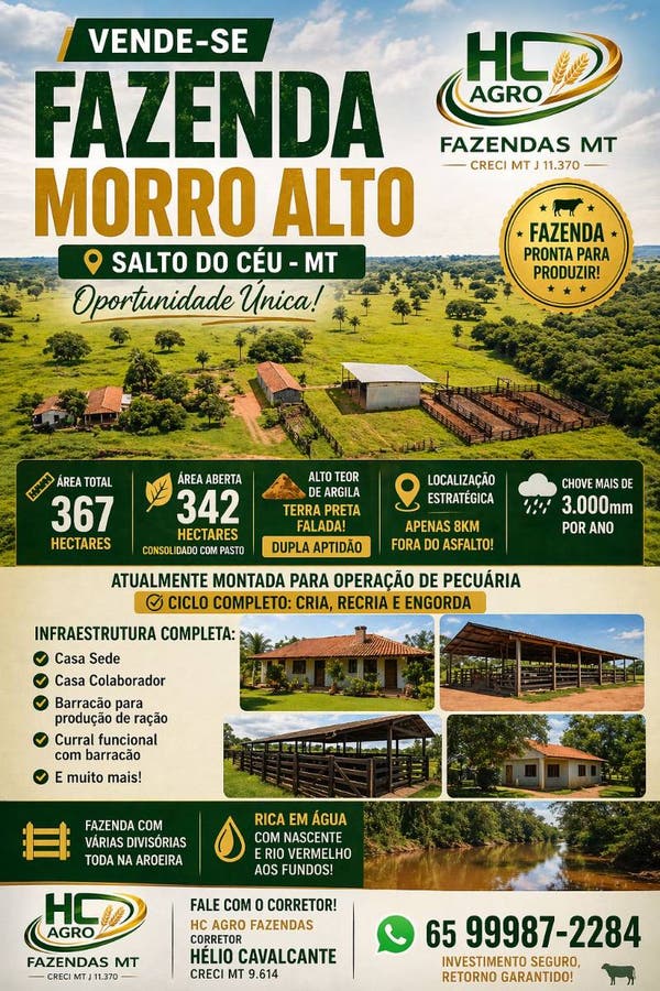 Faz Morro Alto à Venda C/ 367ha - Terra Preta - A Melhor de MT - Fazenda em Zona Rural, Salto do Céu - à venda - HC NEGÓCIOS IMOBILIÁRIOS