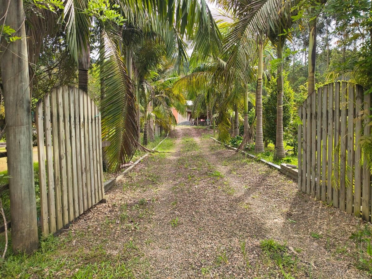 Sítio a Venda - Rua 06 de Junho - Fundos Aurora - Aurora/SC - Sítio em Fundos Aurora, Aurora - à venda - Imobiliária Cimardi LTDA