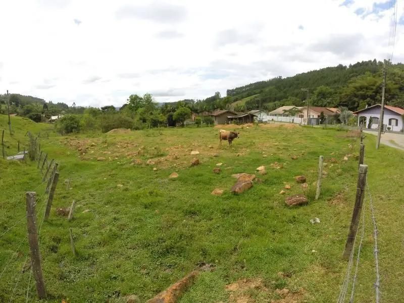 Terreno Urbano - Terrenos em Bela Aliança, Rio do Sul - à venda - Jardim Sul Imobiliária