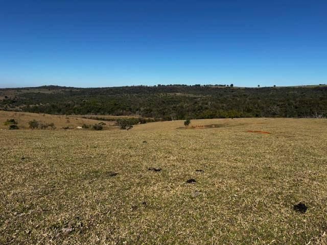 Rural › Sítio - Sítio em Gália - à venda - FLEX CONSULTORIA IMOBILIÁRIA LTDA
