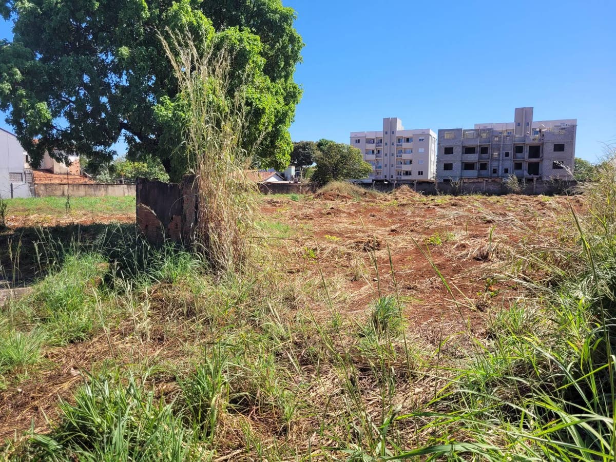 Area externa