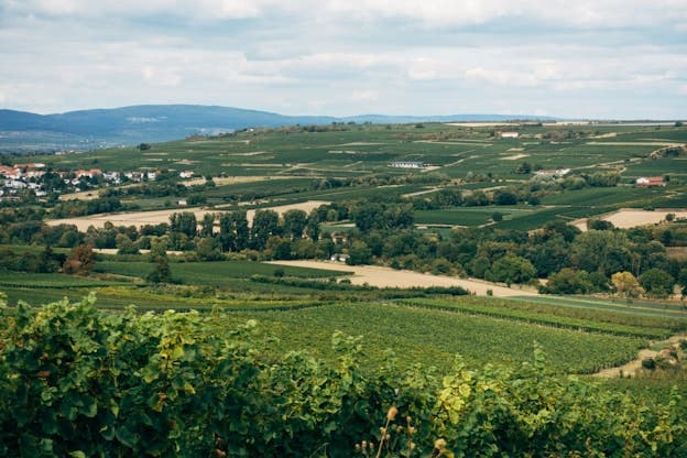 Terrenos